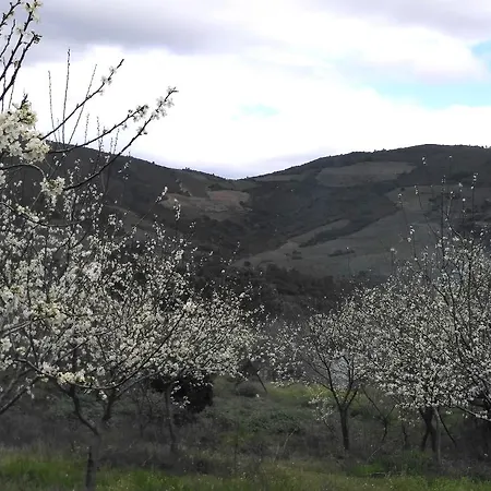 Rurales Tierras De Granadilla *