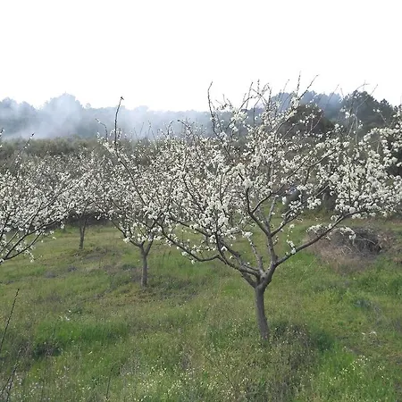 Rurales Tierras De Granadilla דירה *