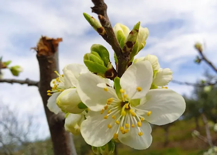 Appartement Rurales Tierras De Granadilla *