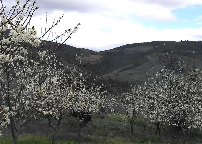 Rurales Tierras De Granadilla *