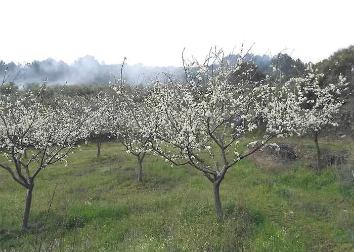 Rurales Tierras De Granadilla Daire *
